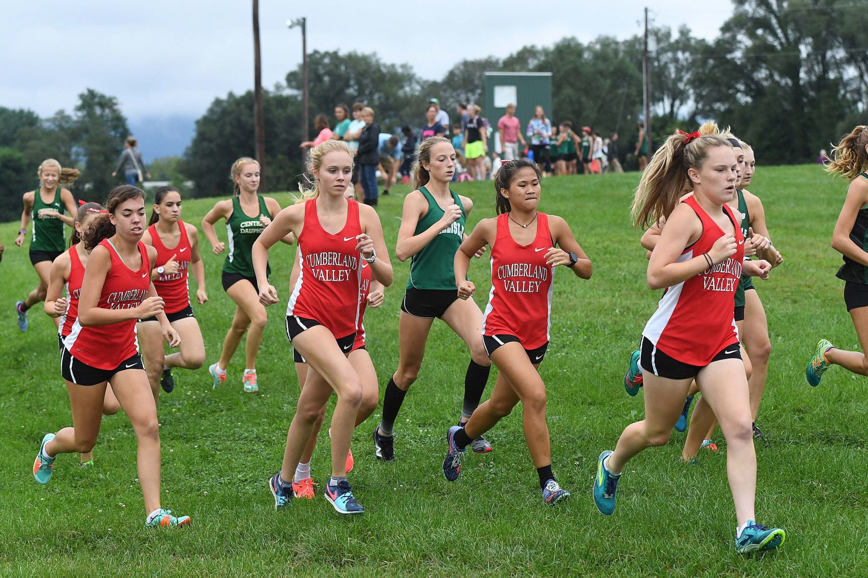 Girls Cross Country 1.jpg